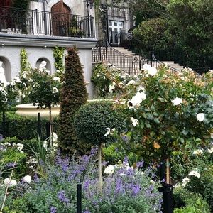 Meet your Posher, Diane